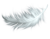 feather