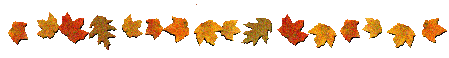 divider-fall-leaves