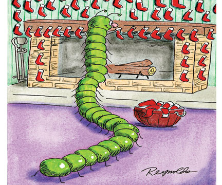 cma-st-cenntipede
