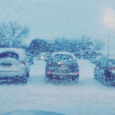 2017-snow-albertsons